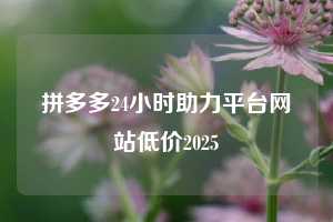 拼多多24小时助力平台网站低价2025