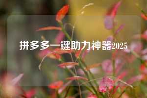 拼多多一键助力神器2025