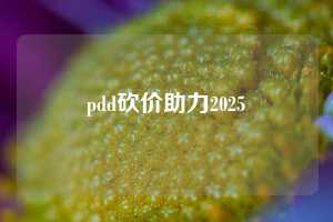pdd砍价助力2025