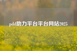 pdd助力平台平台网站2025