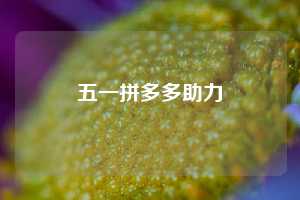 五一拼多多助力
