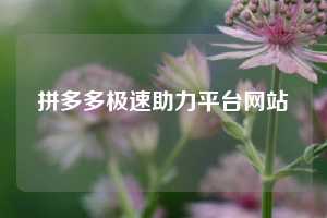 拼多多极速助力平台网站