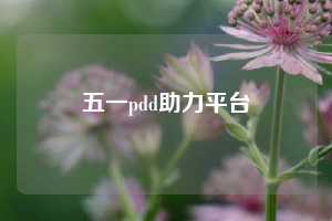五一pdd助力平台