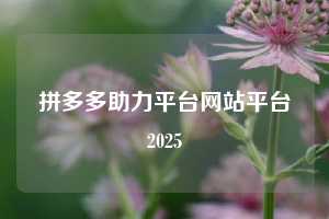 拼多多助力平台网站平台2025
