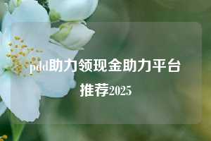 pdd助力领现金助力平台推荐2025