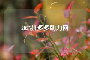2025拼多多助力网