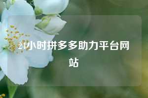 24小时拼多多助力平台网站