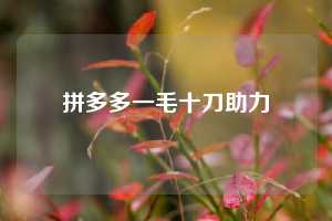 拼多多一毛十刀助力