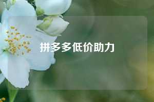 拼多多低价助力