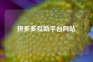 拼多多互助平台网站