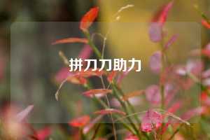 拼刀刀助力
