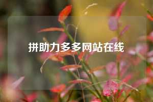 拼助力多多网站在线