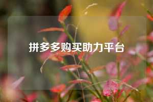 拼多多购买助力平台