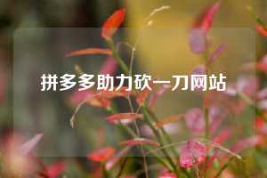 拼多多助力砍一刀网站