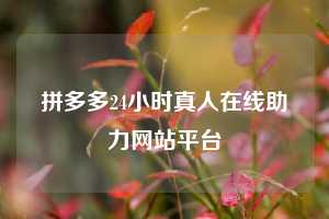 拼多多24小时真人在线助力网站平台
