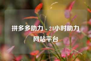 拼多多助力 - 24小时助力网站平台