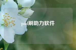 pdd刷助力软件