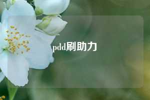 pdd刷助力