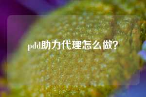pdd助力代理怎么做？