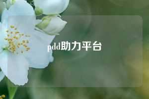 pdd助力平台