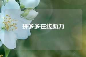 拼多多在线助力