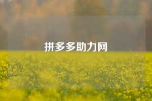 拼多多助力网