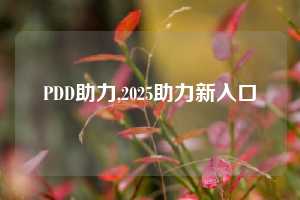PDD助力,2025助力新入口