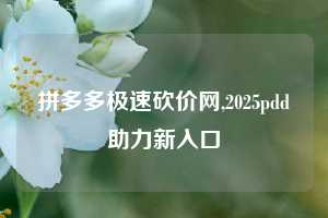 拼多多极速砍价网,2025pdd助力新入口