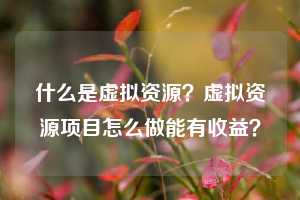 什么是虚拟资源?虚拟资源项目怎么做能有收益?