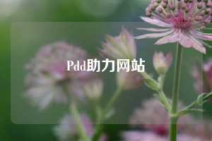 Pdd助力网站