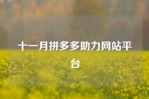十一月拼多多助力网站平台