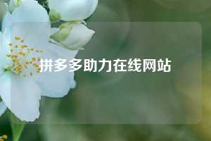 拼多多助力在线网站