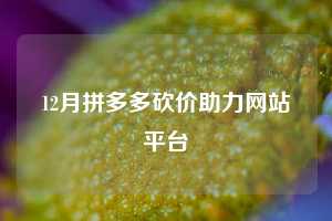 12月拼多多砍价助力网站平台