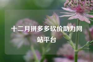 十二月拼多多砍价助力网站平台