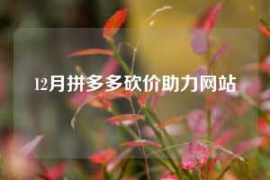 12月拼多多砍价助力网站