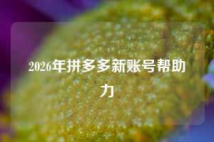 2026年拼多多新账号帮助力