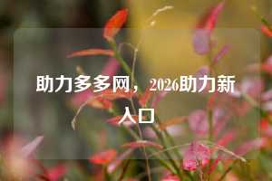 助力多多网,2026助力新入口