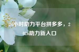 24小时助力平台拼多多,2026助力新入口