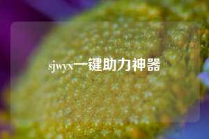 sjwyx一键助力神器