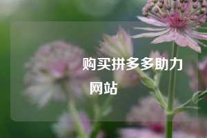 🔗购买拼多多助力网站