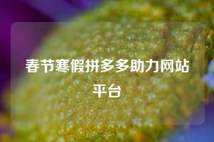 春节寒假拼多多助力网站平台