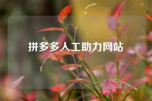 拼多多人工助力网站