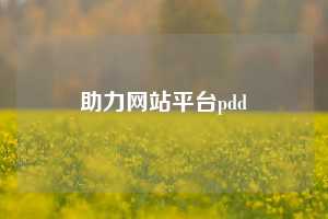 助力网站平台pdd