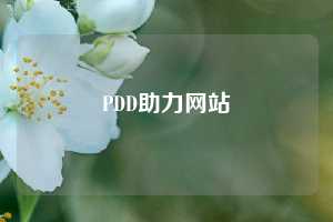 PDD助力网站