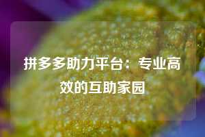 拼多多助力平台:专业高效的互助家园