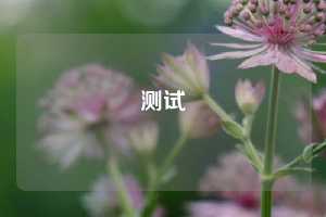 测试
