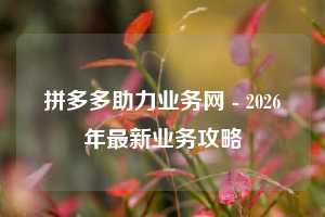 拼多多助力业务网 - 2026年最新业务攻略