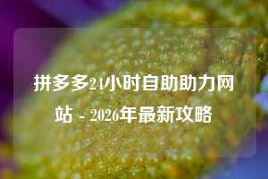 拼多多24小时自助助力网站 - 2026年最新攻略