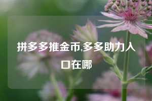 拼多多推金币,多多助力入口在哪