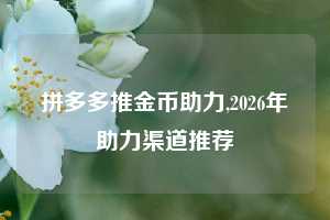 拼多多推金币助力,2026年助力渠道推荐